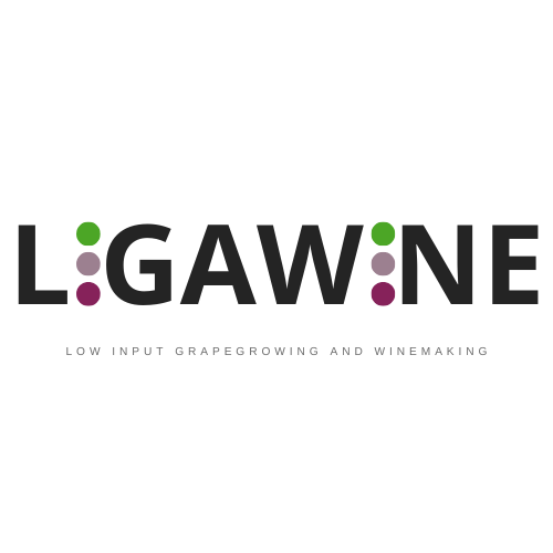 LIGAWINE Logo